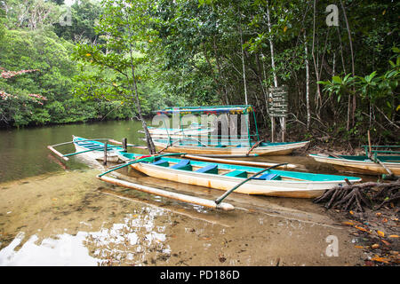 Tropical fiume scorre attraverso gli alberi di mangrovie nel nord di Palawan, Filippine. Foto Stock