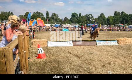 Woodstock, Oxfordshire, Regno Unito. 4° agosto 2018. Più di 120.000 persone hanno partecipato il Countryfile Live, detenuto per motivi di Blenheim Palace, durante il fine settimana rovente. Temperature raggiunte nel 30s Celsius come tempo caldo coperto il Regno Unito. Pony Shetland gare al Countryfile Live. Foto Stock