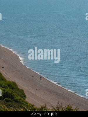 Sidmouth, East Devon, Regno Unito. 5 agosto 2018. Meteo REGNO UNITO: caldo sole e cielo blu in East Devon. Un camminatore solitario con il cane è stato visto nella distanza su di una spiaggia deserta vicino a Sidmouth in una calda e soleggiata giornata. Credito: Celia McMahon/Alamy Live News Foto Stock