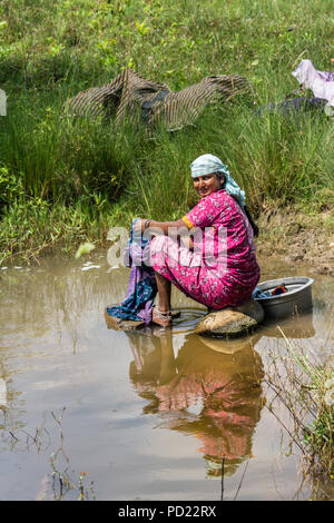 Bilikere, Karnataka, India - 1 Novembre 2013: primo piano della donna in rosa sari facendo servizio lavanderia nella pozza. La riflessione in acqua marrone e sfondo verde. Foto Stock