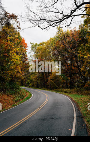 Colore di autunno lungo Skyline Drive nel Parco Nazionale di Shenandoah, Virginia Foto Stock