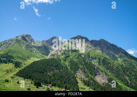 Kackar montagne con verde bosco landscapei n Rize,Turchia Foto Stock