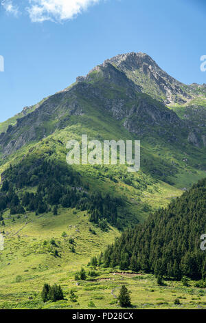 Kackar montagne con verde bosco landscapei n Rize,Turchia Foto Stock