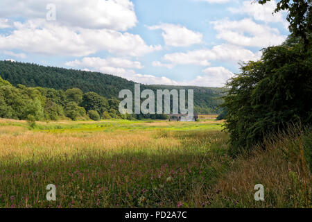 Lindley serbatoio di legno Nord Yorkshire molto bassi livelli di acqua Foto Stock