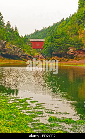 Ponte coperto oltre il punto di Wolfe Creek in Fundy National Park Foto Stock