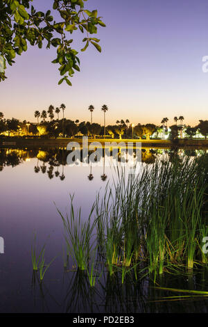 Boca Raton Florida, Palm Beach County, Marriott Residence Inn, motel, alloggio, lago, acqua, crepuscolo, sera, erbe alte, vegetazione, palme, riflessione, specchio Foto Stock