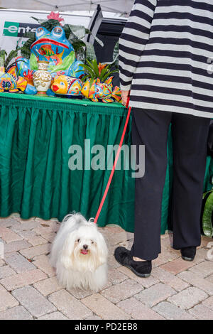 Boca Raton Florida, Palm Beach County, Royal Palm Place, mercato agricolo, contadini, agricoltori', shopping shopper shopping shopping negozi mercato mercati Foto Stock