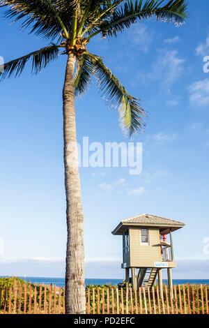 Florida Delray Beach,Oceano Atlantico,acqua,Ocean Boulevard,spiaggia pubblica,bagnino,stand,stazione,sicurezza,salvataggio acqua,prevenzione,recinzione legno,palma,FL0 Foto Stock