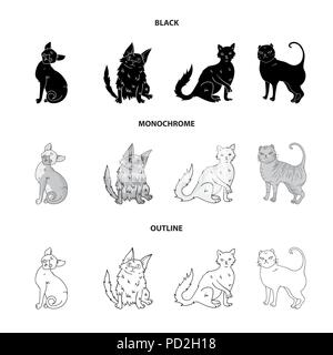 Angora turco, British longhair e altre specie. Razze di gatti set di icone di raccolta in nero,monocromatico, Outline stile simbolo vettore illustrazione stock Illustrazione Vettoriale