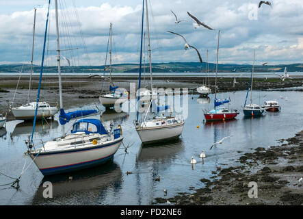 Barche a vela ormeggiata nel fiume estuario di mandorla con coppia di cigni in fiume e gabbiani battenti, Cramond, Edimburgo, Scozia, Regno Unito Foto Stock