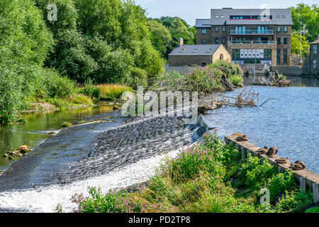 Tramonto al Golden Acre Park in Leeds Foto Stock