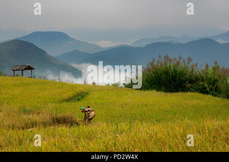 Il paesaggio del Vietnam Foto Stock