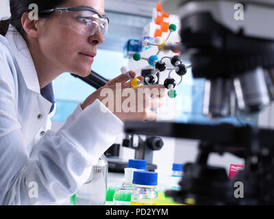 Scienziato comprensione struttura di composto chimico utilizzando il modello molecolare Foto Stock