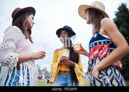 Gli amici a bere in festival di musica Foto Stock