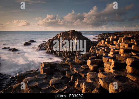 Giant's Causeway, County Antrim, Irlanda del Nord, Regno Unito Foto Stock