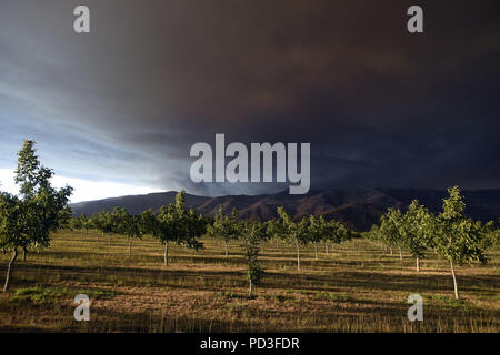 Ukiah, California, Stati Uniti d'America. Il 6 agosto, 2018. Ukiah, California, Stati Uniti - Il fumo aumenta al di sopra di colline a nord del lago. Credito: Neal acque/ZUMA filo/Alamy Live News Foto Stock