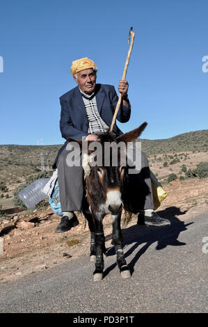 Uomo asino di equitazione in Marocco Foto Stock