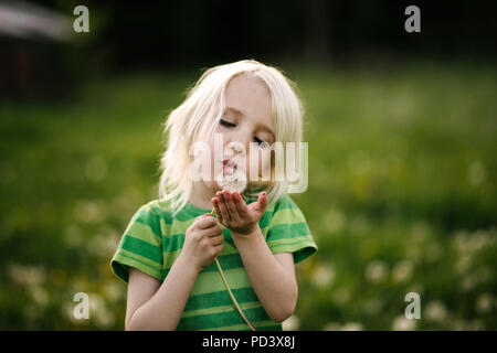 Ragazzo soffiando tarassaco Foto Stock