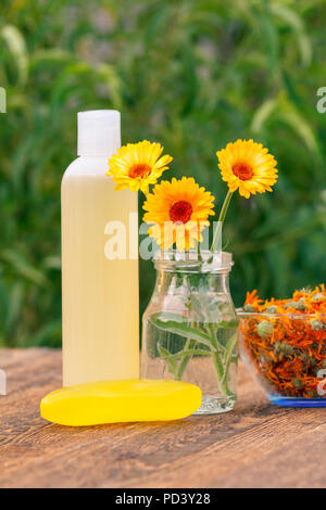 Prodotti per il benessere e gli accessori. Calendula fiori in un vaso di vetro e il flacone con il prodotto per la cura della pelle con estratto di calendula, Vaso con fiori secchi di cale Foto Stock