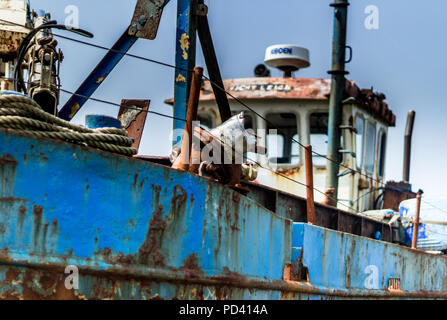 Un peschereccio della Vicky Leigh, ormeggiata sulla spiaggia di Ferryside, Carmarthenshire, Galles del Sud Foto Stock