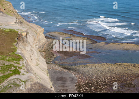 Costa frastagliata a Kettleness vicino Runswick Bay sulla costa del North Yorkshire, Inghilterra. Foto Stock