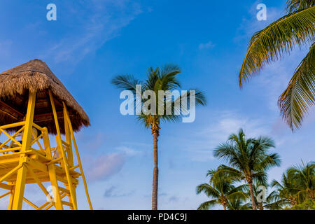 Vista di una palma e un bagnino in legno torre o stazione torri contro una vibrante estate tropicale cielo blu in un resort in Messico nei Caraibi Foto Stock