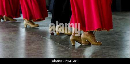 Primo piano di un tipico le scarpe per il tradizionale spagnolo di flamenco scarpe da ballo, pelle tacchi alti, parte del costume Foto Stock