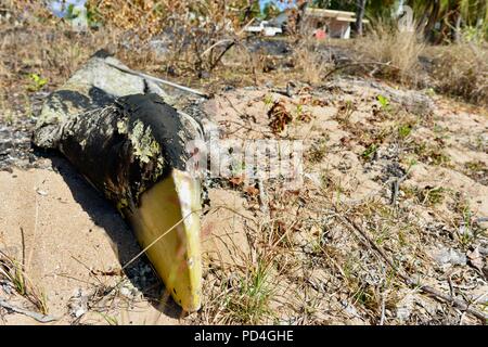 Un bruciata canoa, Toomulla QLD, Australia Foto Stock