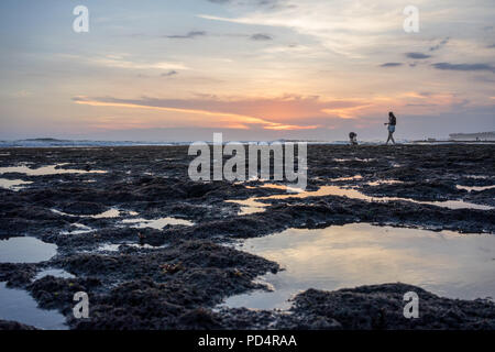 Basso angolo vista con alghe e acqua, Bali Indonesia Foto Stock