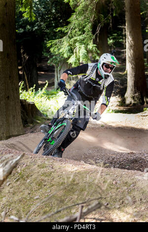 Mountain bike nella Foresta di Dean Foto Stock