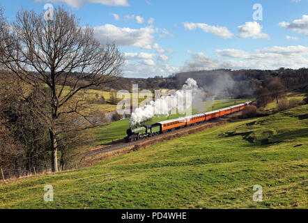 8572 capi lungo il bellissimo Severn Valley a Severn Lodge. Foto Stock