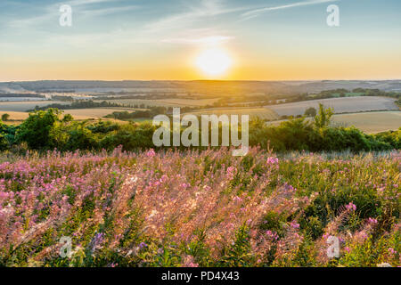 Vista dalla collina Butser Riserva Naturale oltre il South Downs in Hampshire durante il tramonto in estate 2018, Inghilterra, Regno Unito Foto Stock