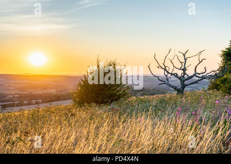 Vista dalla collina Butser Riserva Naturale oltre il South Downs in Hampshire durante il tramonto in estate 2018, Inghilterra, Regno Unito Foto Stock