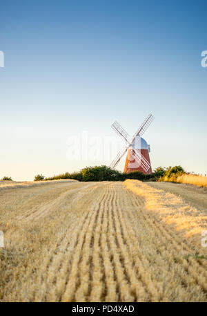 Mulino a vento di Halnaker durante la luce calda della sera sulla cima di Halnaker Hill nel Sussex occidentale, Inghilterra, Regno Unito Foto Stock