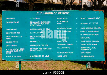 "La lingua di Rose' board informare le persone circa il significato di rose, eretto nel governo del Giardino delle Rose a Ooty, Tamil Nadu, India Foto Stock