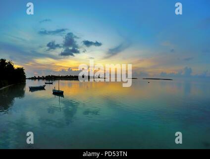 La Cannabis, conosciuta anche come la marijuana tra gli altri nomi, è una sostanza psicoattiva dalla pianta di cannabis usata per medici o finalità ricreativa Foto Stock
