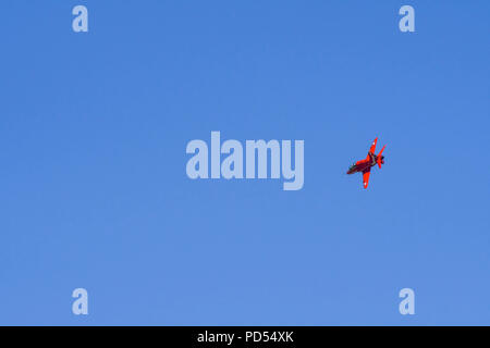 Unico jet Hawk della Royal Air Force Aerobatic Team, le frecce rosse, girando strettamente al di sopra del Galles di Cardiff Airport Foto Stock