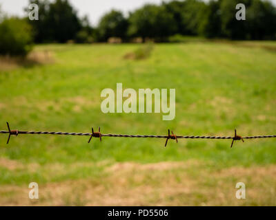 Rusty barbwire e prati e alberi in sfondo sfocato al giorno. Foto Stock