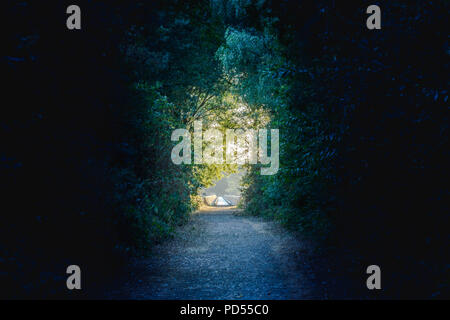 Percorso attraverso una foresta scura con una luce alla fine della foresta Foto Stock