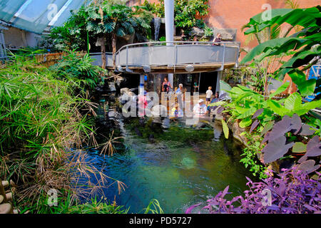 Bristol Aquarium, Bristol, Regno Unito Foto Stock