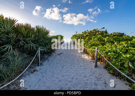 South Pointe Park e South Beach Foto Stock