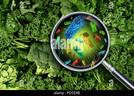 I batteri e i germi di verdure e il rischio per la salute di contaminati ingestione di cibo verde compresi lattuga romana come produrre un concetto di sicurezza. Foto Stock