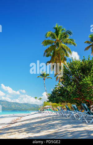 Vuoto perfetto dei Caraibi spiaggia sabbiosa tropicale con acqua limpida e verde di alberi di palma Foto Stock