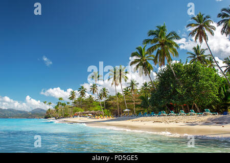 Vuoto perfetto dei Caraibi spiaggia sabbiosa tropicale con acqua limpida e verde di alberi di palma Foto Stock