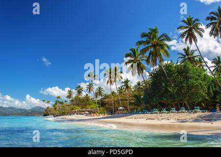 Vuoto perfetto dei Caraibi spiaggia sabbiosa tropicale con acqua limpida e verde di alberi di palma Foto Stock