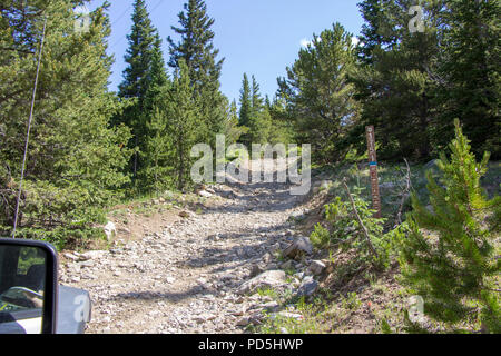 Esplorare Yankee Hill in Jeep Foto Stock