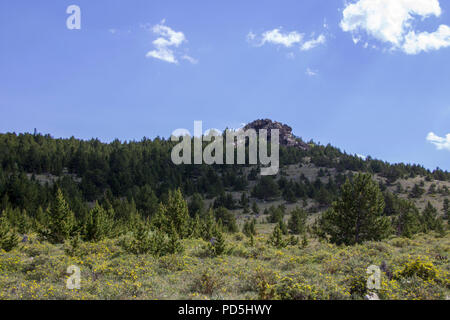 Esplorare Yankee Hill in Jeep Foto Stock