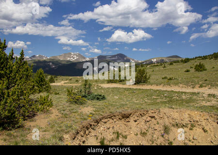 Esplorare Yankee Hill in Jeep Foto Stock