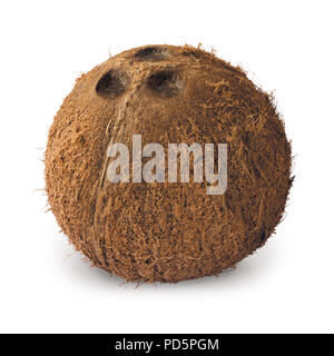 Sbucciate cocco coperto su sfondo bianco Foto Stock