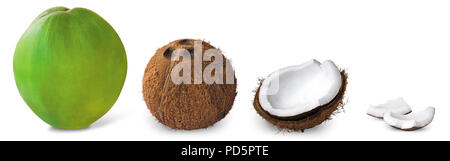 Sbucciate cocco coperto su sfondo bianco Foto Stock